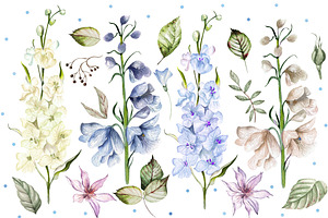 Hand Drawn Watercolor Wild Flowers