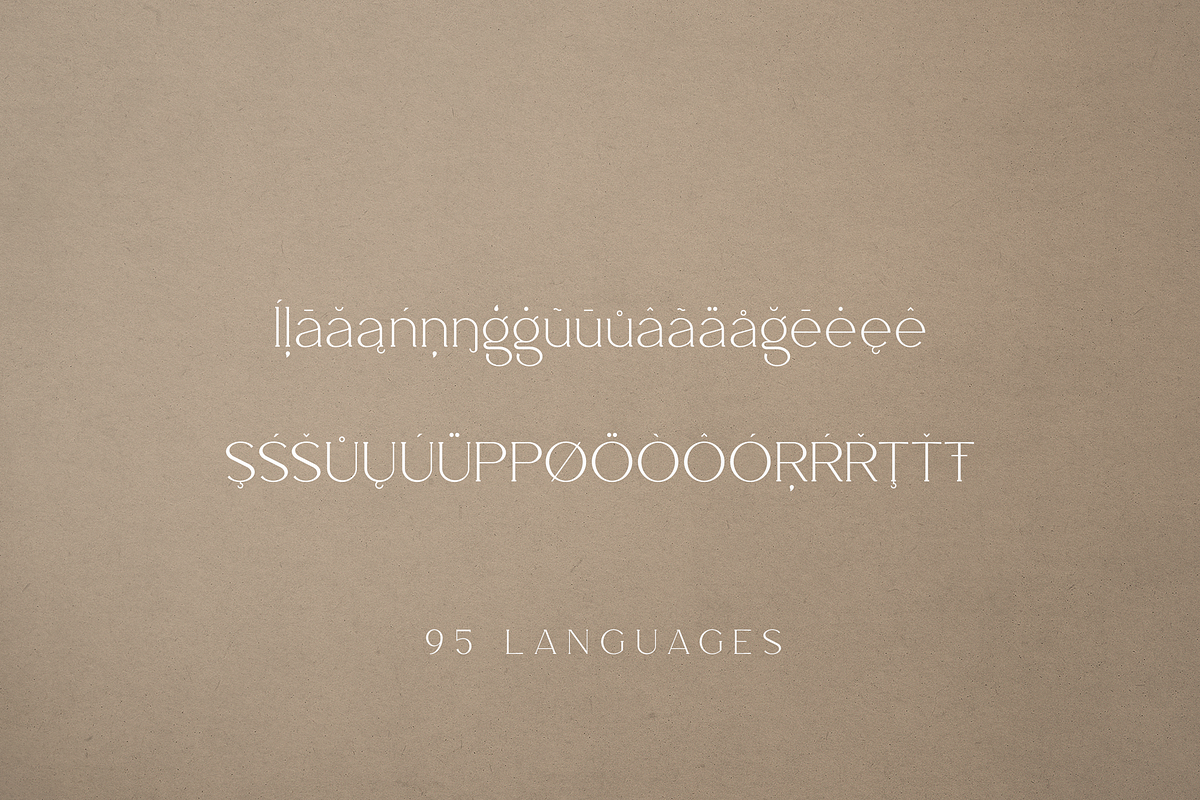 Salve - Elegant Serif + Cyrillic, a Serif Font by VP Fonts (Photo 18 of 20)