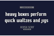 HERSH SERIF FONT FAMILY, a Serif Font by Alphabet Agency (Thumbnail 3 of 14)