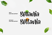 Bottania, a Script Font by RockboyStd (Thumbnail 9 of 12)