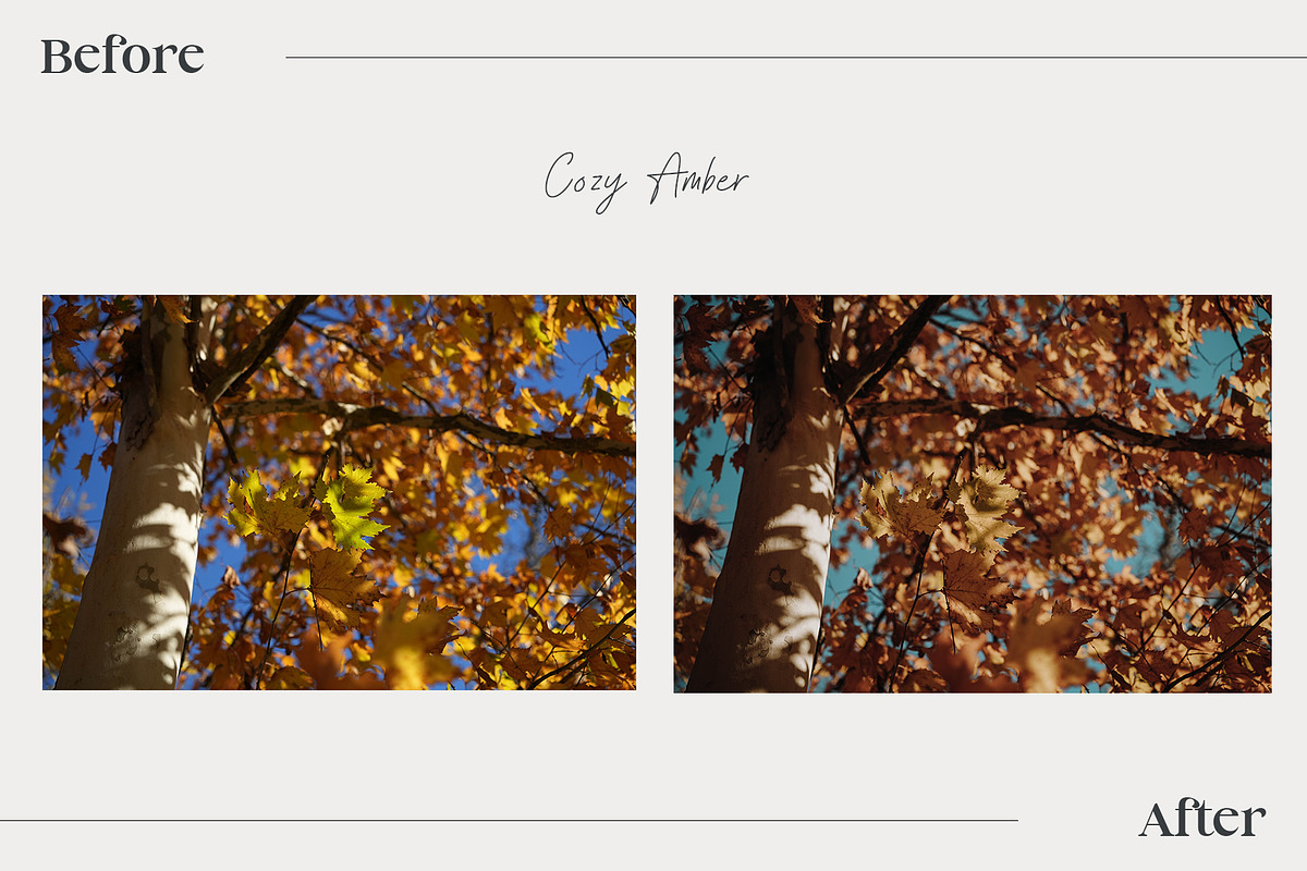 15 Autumn Inspired Lightroom Presets, a Preset Add-On by HipFonts (Photo 6 of 10)