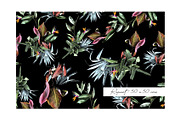 Tropicallia, a Pattern Graphic by Luiz da Rolt Grathwohl (Thumbnail 8 of 13)