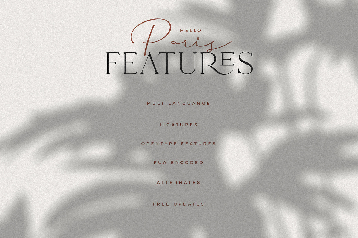 Hello Paris - Variable Duo, a Serif Font by Sans & Sons (Photo 25 of 29)