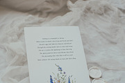 Waterolor Floral Borders Bundle, a Decorative Illustration by Lana Elanor (Thumbnail 6 of 97)