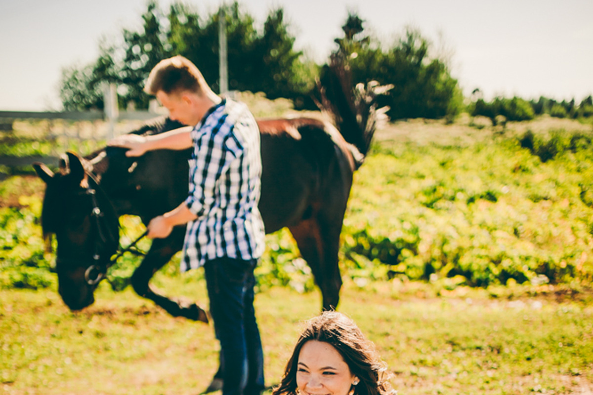 Sunny Farm- 7 Lr presets, an Action Add-On by Graphics, Presets, Photos (Photo 15 of 15)