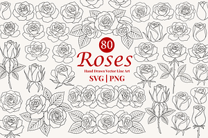 Rose Flower Line Art Illustration