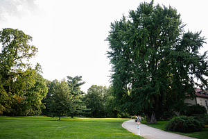 Beautiful lush green park scenery in Lancut, Poland under clear sky, a Photo by AS photostudio