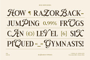 LesBageur | Calligraphic Serif Font, a Serif Font by Hole Hope Design (Thumbnail 2 of 10)