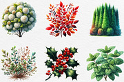 Watercolor Bushes Clipart Sublimatio, an Illustration by Black Bird Studio (Thumbnail 4 of 6)