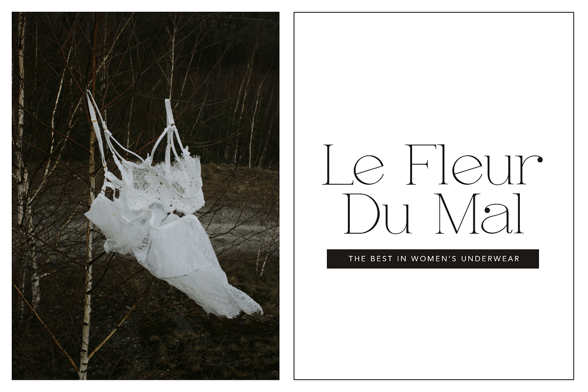 Feona Delicate Serif, a Serif Font by elvinova (Photo 3 of 9)