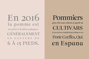 Solomon Serif Font Family, a Serif Font by Symufa (Thumbnail 3 of 10)