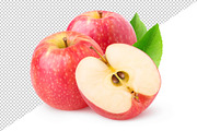 Cut red apples, an Object Graphic by Fruits+Veggies (Thumbnail 4 of 6)