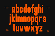 Micten, a Sans Serif Font by Flawless And Co (Thumbnail 7 of 10)