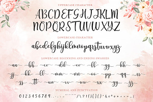 Breyhana Script