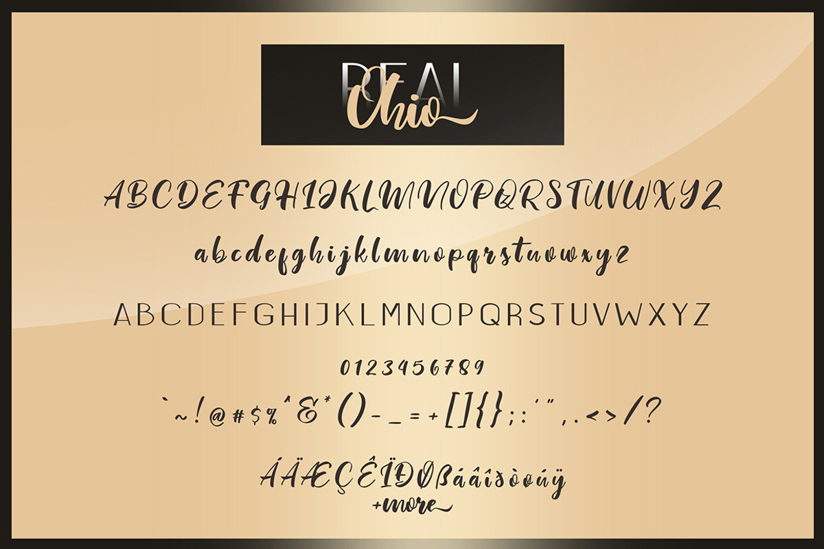 Real Ohio Font Duo preview 8