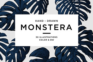 Dark Monstera leaves