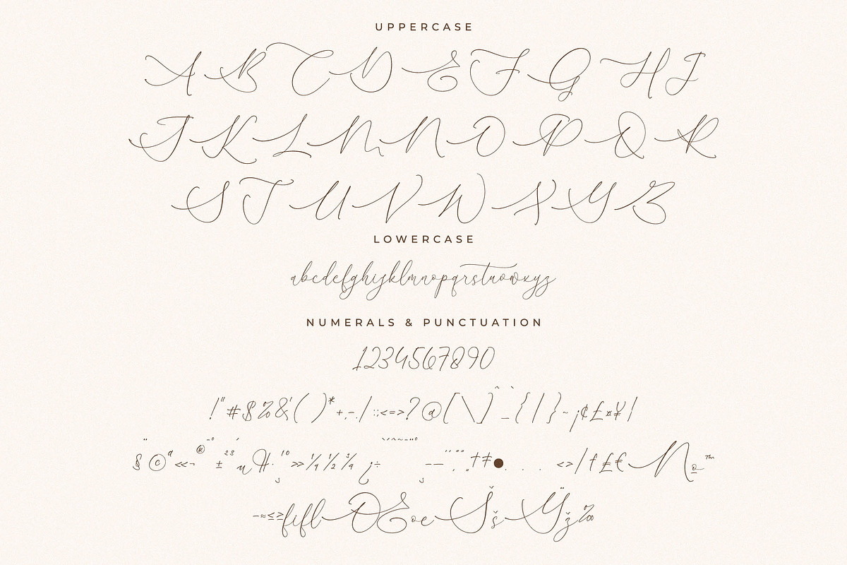 August Sterling Beauty Calligraphy, a Script Font by Storytype Studio (Photo 13 of 15)