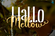 Sterling Behavior | Handwritten Duo, a Font by Denustudios (Thumbnail 4 of 13)