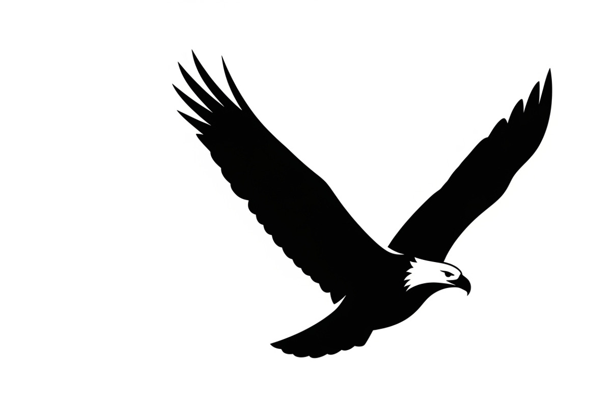Powerful eagle flying wall art, an Illustration by Amazin_art (Photo 3 of 26)