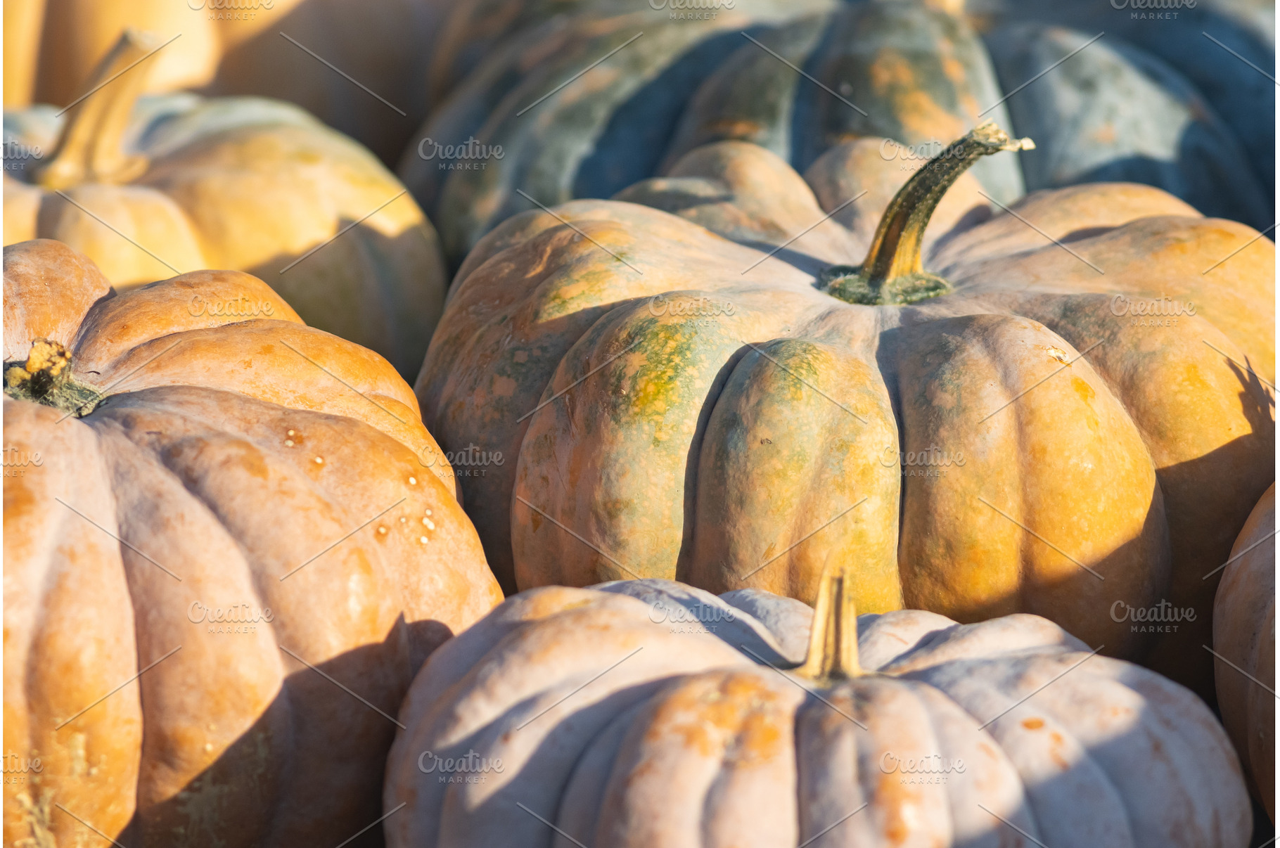 Pumpkins stacked outdoors -, a Food & Drink Photo by Barcelona_dreams