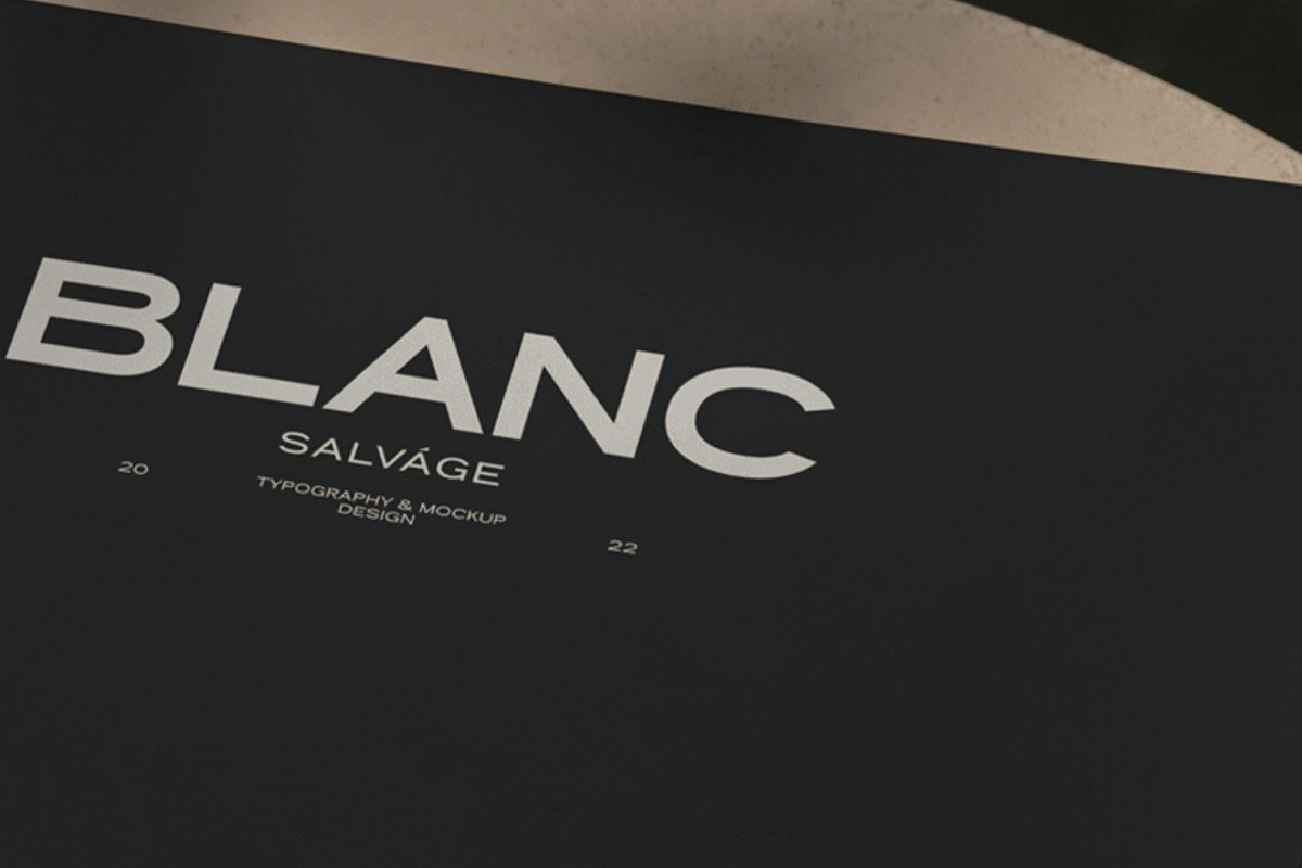 Eleven Eleven Sans Serif, a Sans Serif Font by Blanc Salváge (Photo 8 of 12)