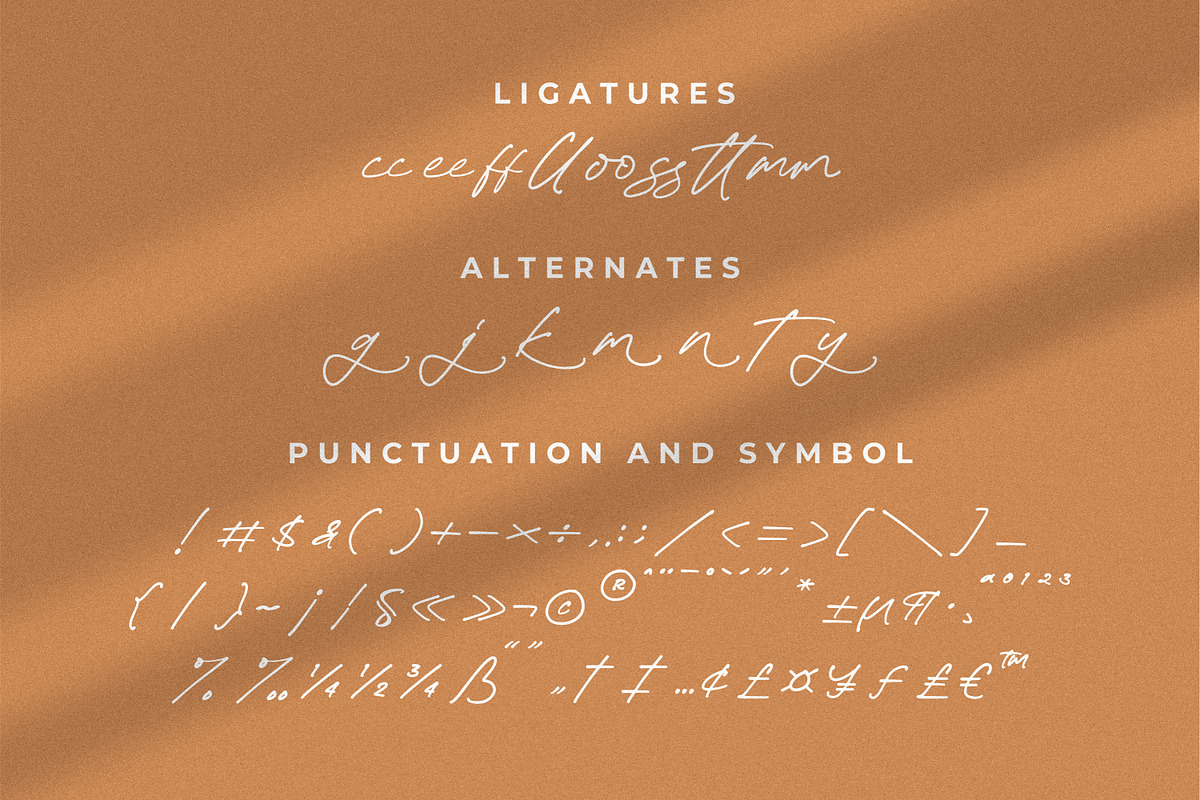 Rinatha, a Script Font by Integritype Studio (Photo 4 of 15)