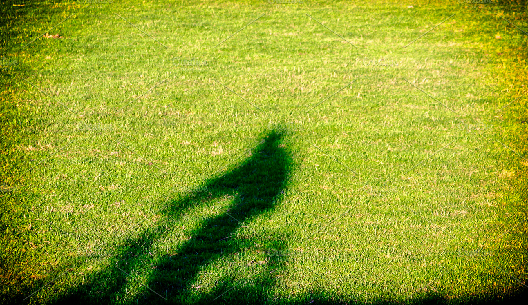 Silhouette Of Man On Bike