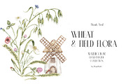 Watercolor Wheat & Field Flora, a Decorative Illustration by MayaNavits (Thumbnail 13 of 13)