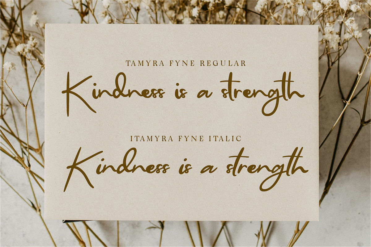 Tamyra Fyne - Bold Handwritten, a Handwritten Font by Indotype Foundry (Photo 4 of 10)