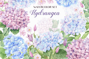 SALE! Watercolor Hydrangea