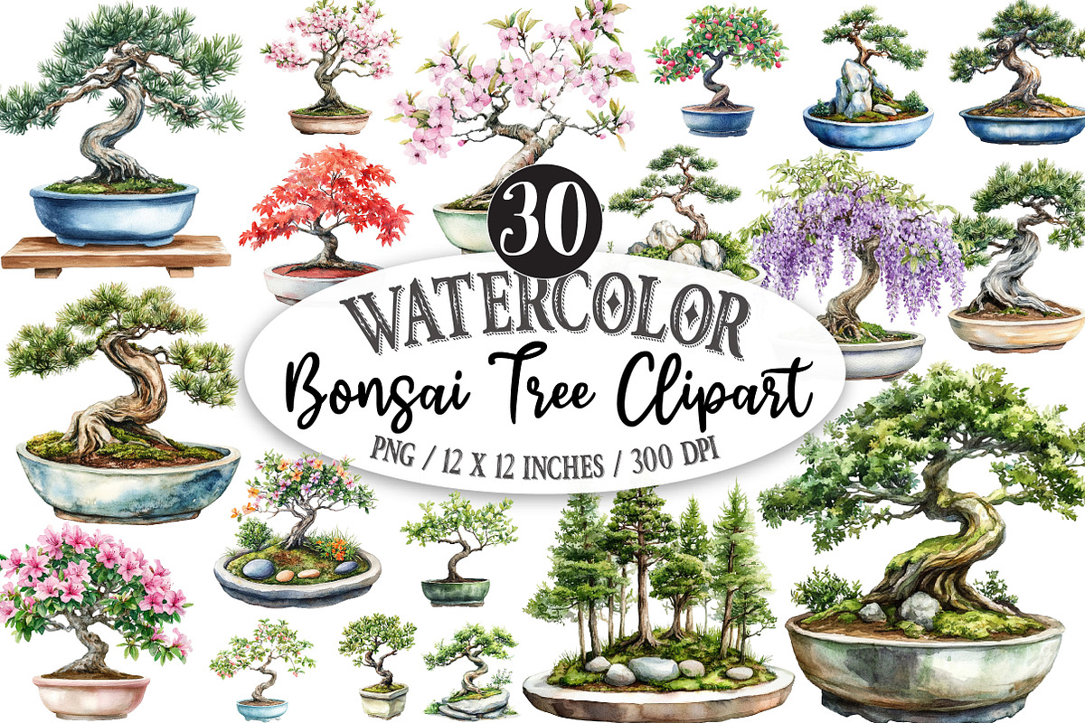 Bonsai Tree Clipart Bundle, a Seasonal Illustration by Designking (Photo 1 of 5)