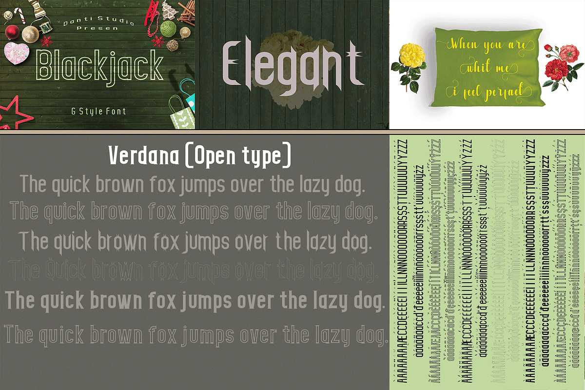 THE COLLECTION BUNDLE, a Script Font by danti (Photo 11 of 31)