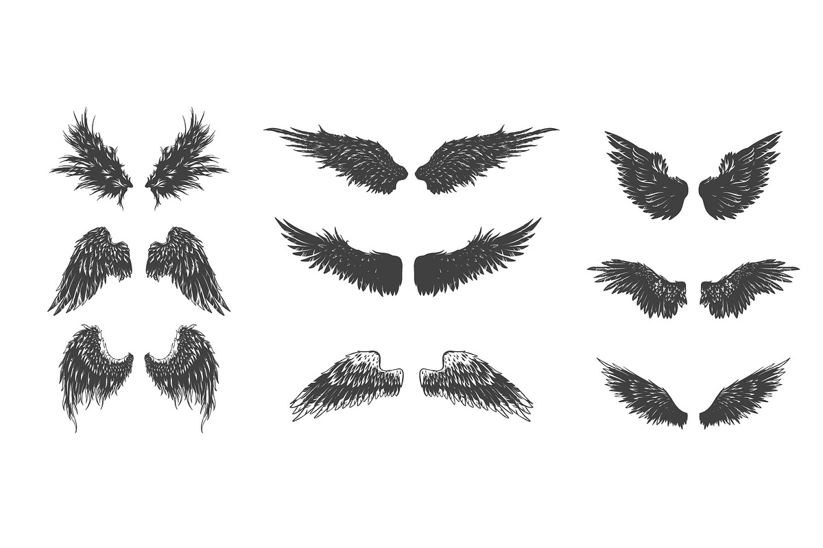 Wings set, an Animal Illustration by illusign