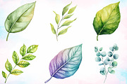 Watercolor Greenery Leaves Clipart, an Illustration by Canvas Craft (Thumbnail 3 of 3)