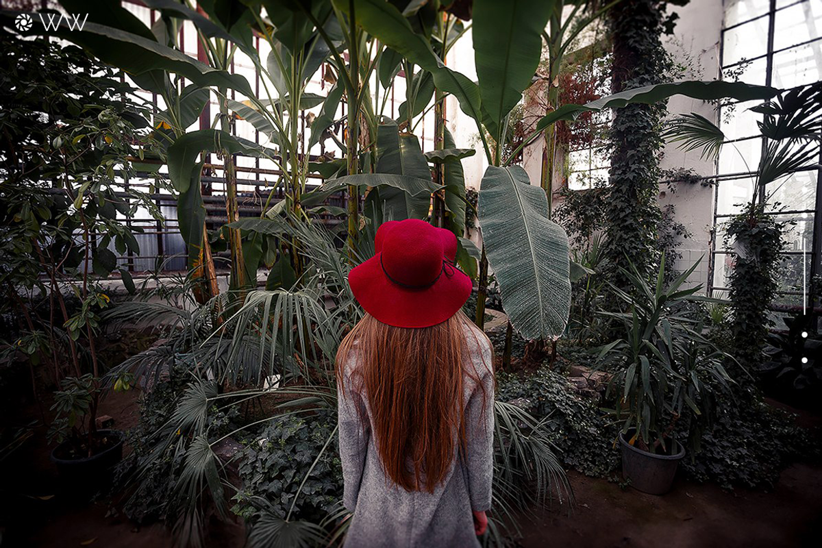 Photo Expert - Lightroom Presets, an Action Add-On by Willa (Photo 7 of 13)