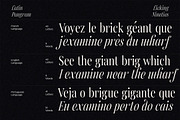 Licking Nineties Serif, a Serif Font by Designsation (Thumbnail 9 of 10)