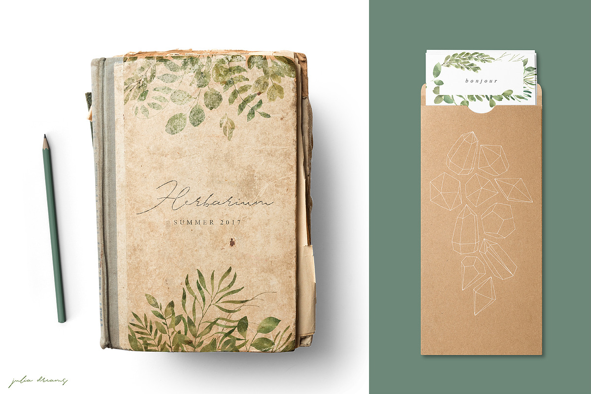 Leafy Leaf Collection, an Animal Illustration by Julia Dreams (Photo 3 of 7)