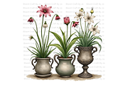 Potted Gothic Plants, a Decorative Illustration by Bloom Craft Creations (Thumbnail 4 of 12)