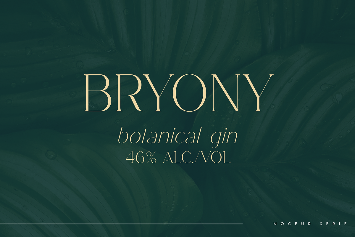 Noceur - elegant serif typeface, a Serif Font by Only Fonts (Photo 3 of 10)
