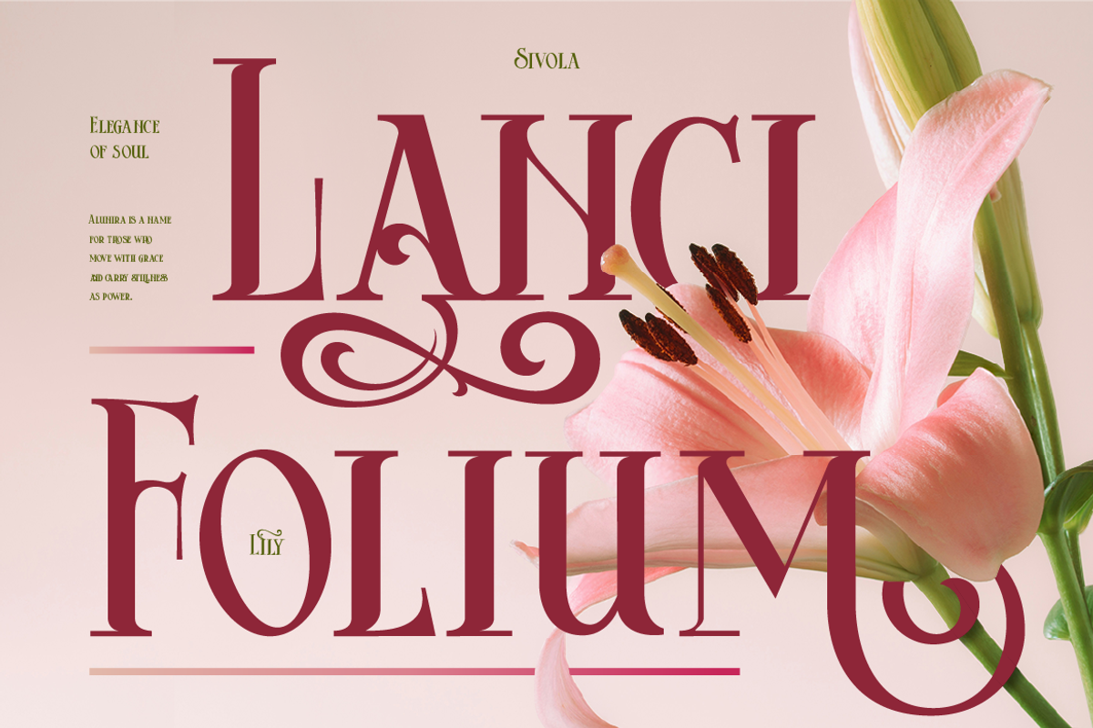 Sivola, a Serif Font by Burntilldead (Photo 3 of 12)