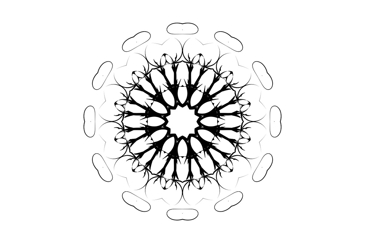 Ornamental Black White Mandala Pack, a Decorative Illustration by NJ Himel (Photo 60 of 103)