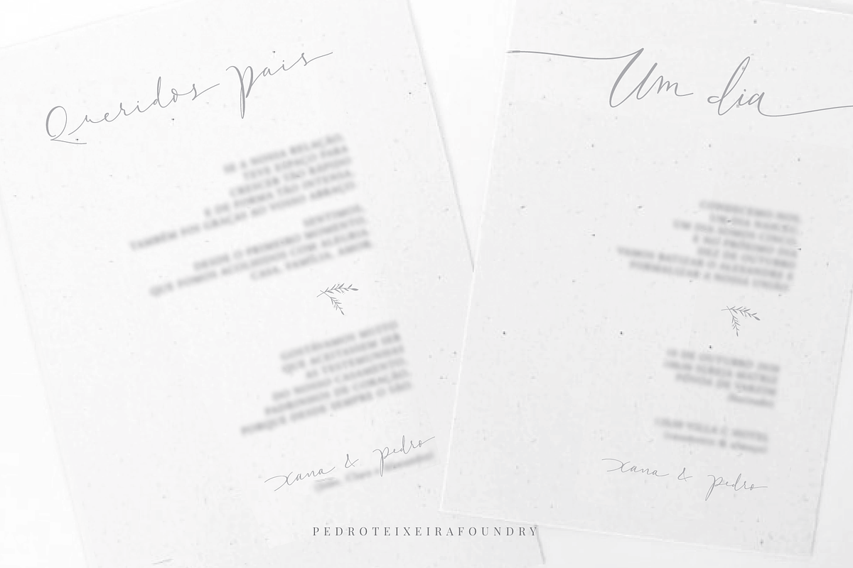 (44 fonts) Xanas Wedding Font Family, a Script Font by vectalex (Photo 5 of 8)