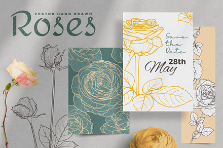 Hand drawn outline vector roses, a Decorative Illustration by MuzaInspires