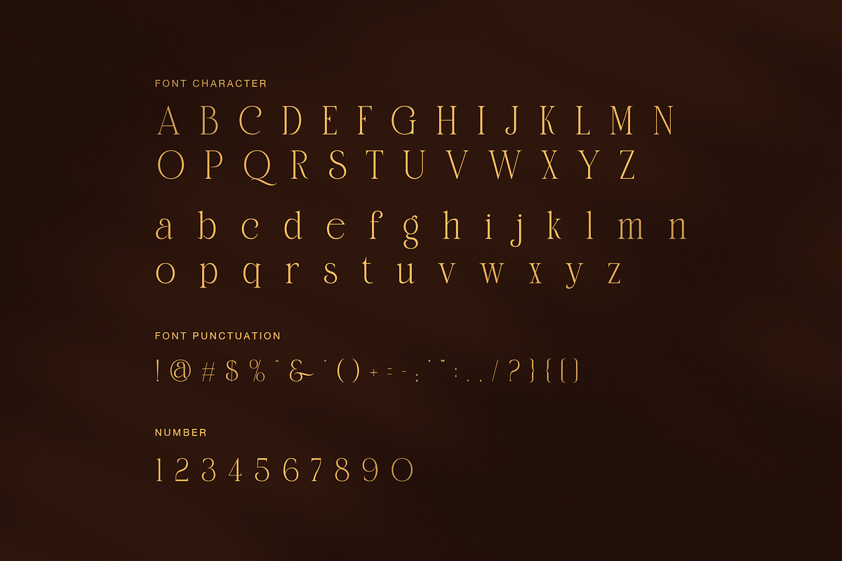 Damita Elegant Serif Display Font, a Serif Font by Perfectype (Photo 7 of 8)