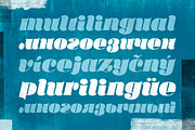 Callista, a Script Font by Karandash (Thumbnail 3 of 5)