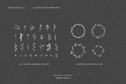 Botanical Illustration Bundle, an Illustration by Studio Edyth (Thumbnail 4 of 8)