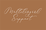 Anticka Whitnes Beauty Script Font, a Script Font by Storytype Studio (Thumbnail 13 of 15)