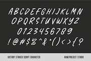 Victory Striker - Font Duo, a Sans Serif Font by ahweproject (Thumbnail 11 of 12)