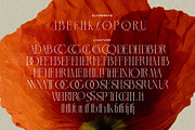 LT Verola – Rich Serif Ligature Type, a Serif Font by Luminotype (Thumbnail 15 of 15)