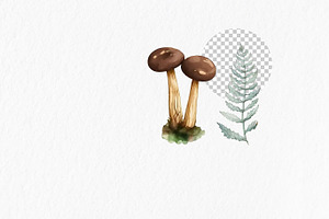 Mushrooms Watercolor Clipart PNG